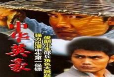 中华英豪铁善武功